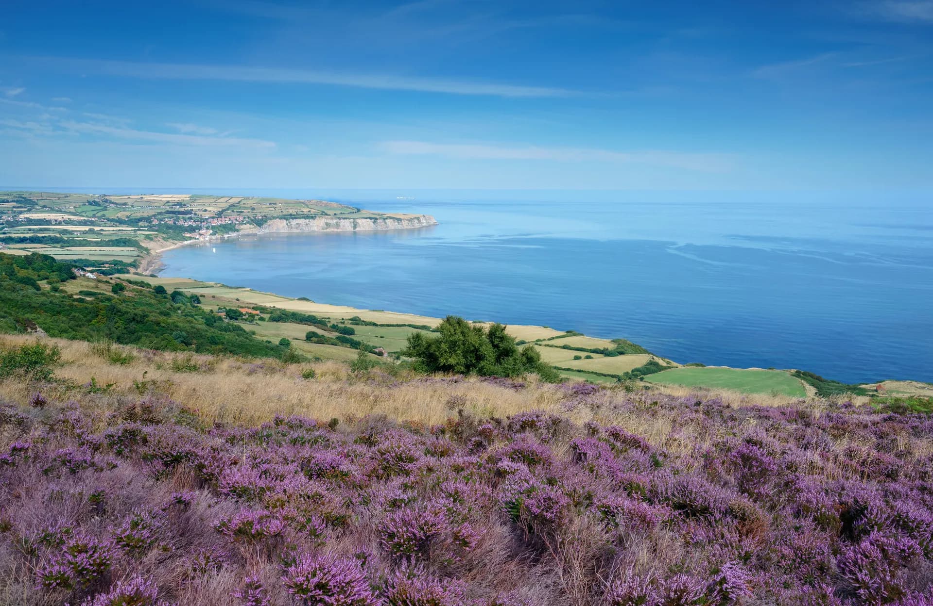 Campsites in North York Moors National Park